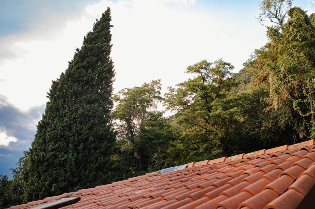 Villa Bertacchi - Inside And Out Como Dış mekan fotoğraf